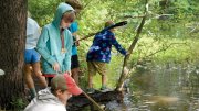Children explore a forest pond with sticks and nets, searching for creatures in the shallow water.