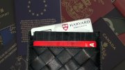wallet with several cards and a harvard ID at the top, in the background passports from various countries