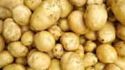 potatoes 