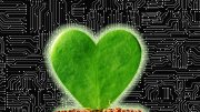 A green heart-shaped leaf resting on soil, set against a circuit board background.