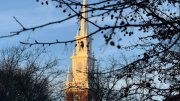 Historic church steeple framed by bare tree branches against a clear sky.