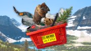 An illustration depicting a group of animals in a red shopping cart that says 56 billion, representing the value of the National Park System