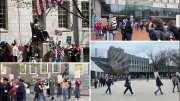 A collage of protest scenes with people holding signs in various locations.