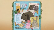 A blue refrigerator covered with animal pictures, notes, and drawings, surrounded by greenery.