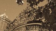 Decorative wrought iron gate framed by leafy branches, captured in sepia tones.