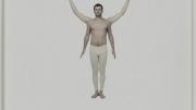 "Circling of the arms," from Green's series "Illustration and Description of the Medico-Gymnastic Exercises" (2008)