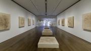 Installation view of "Jesse Aron Green: Ärztliche Zimmergymnastik"