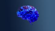 Conceptual illustration of neural networks in the human brain.