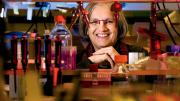 Professor Dyann Wirth leads the Harvard Malaria Initiative.