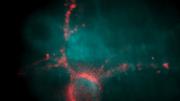 Genetic alterations allow researchers to observe the electrical firing of a neuron (pink) as a flash of light, detectable by specially modified optical microscopes.