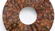 From <i>Tree Rings: Ceramic Panoramas by Warren Mather,</i> at the Arnold Arboretum