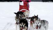Ariel Silverman, 10, enjoys dogsledding with her family in northern Maine at Nahmakanta Lake Wilderness Camps.