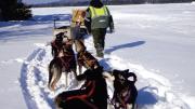Nahmakanta owner Don Hibbs says his dogsledding runs offer a “one- or two-day adventure for people who love animals.”