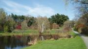 Paramecium Pond at Wellesley College