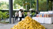 A pile of bananas at <i>American Morning</i>