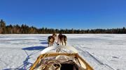 The view from the back of a sled, gliding over Umbagog Lake