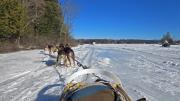 The view from the back of a sled