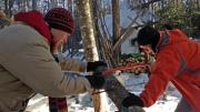 Martin Reindl ’15 (left) and  Joey Kim ’15 saw a felled tree to use for fire wood.