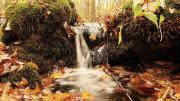 More than 17 miles of trails at Noanet Woodlands offer respite from urban life.