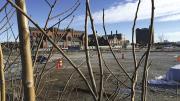 Another view across what will become the enterprise research campus