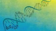 An evocative illustration that incorporates musical notation into the familiar double helix of DNA