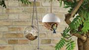 Two hanging bird feeders plus a hanging nesting basket dangle from a tree branch.