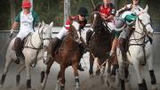 Four polo players ride horses and one swings a mallet