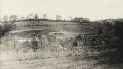 Black-and-white photo of a hill with bare trees