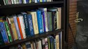 Books about Irish literature fill the shelves of the suite. 