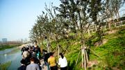 GSD students, alumni, and other Harvard guests tour the award-winning waterfront park at Shanghai’s Expo 2010 site—an alternative, green model for development.