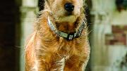 Monty: Check him out.