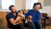 Sullivan (right)  at home with his husband, actor Aaron Tone, and their  two beagles