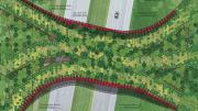 An overview of the vegetation plan for the crossing as proposed in the submission from Janet Rosenberg & Associates