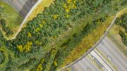 An artist's rendition of an aerial view of the overlook, from the Olin Studio submission