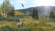 View of a part of the wildlife crossing, from the Olin Studio submission