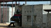 Back at Hathigaon, an elephant and its <i>mahout</i> enter their dwelling.