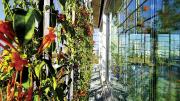 Plants on the latticed outer façade, hydrated by a misting system, provide shade and fresh breezes.