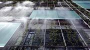 The building’s external misting system at work
