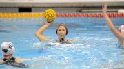 Photograph by Gil Talbot/Harvard Athletic Department