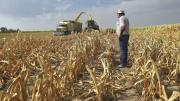 Changes in climate have surprisingly far-reaching economic effects. 