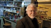 Michael Gilmore directs the Harvard-wide Program on Antibiotic Resistance. He has used genomic techniques to trace the evolution of antibiotic-resistant bacteria. 
