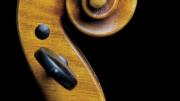 An ornate scroll on the neck of a violin.
