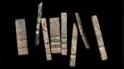 More than 20 pieces of type dug up in Harvard Yard have been dated to the seventeenth century.