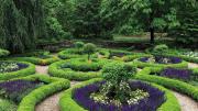 Close up view of the sunken garden’s symmetrical hedges and plants