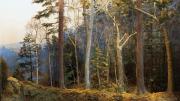 Realistic diorama of an old growth forest