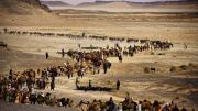 An astonishingly long desert caravan (above) is part of <em>Journey to Mecca.</em>