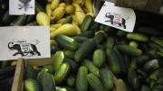 Cukes, summer squash, and plenty of other local produce and homemade goods may be found at the Farmers’ Market at Harvard