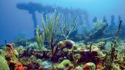 Wreck of the <i>Rhone,</i> British Virgin Islands, 2005 
