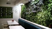 Casa B’s living wall of greenery sets a homegrown tone in the lower dining room. 