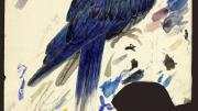 Edward Lear, Study of an Indigo Macaw, now known as Lear's Macaw (<i>Anodorhynchus leari</i>). Watercolor over graphite on paper. Ink on paper.